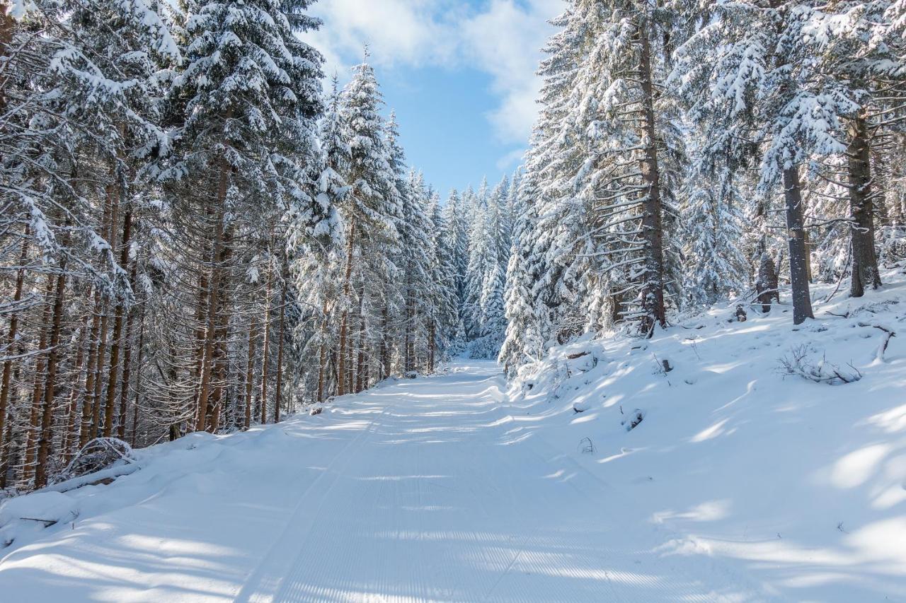 Almbauer Morgenbesser Trattenbach  エクステリア 写真