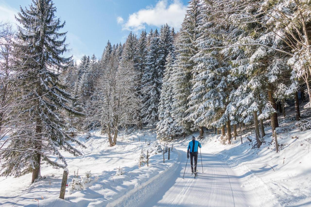 Almbauer Morgenbesser Trattenbach  エクステリア 写真