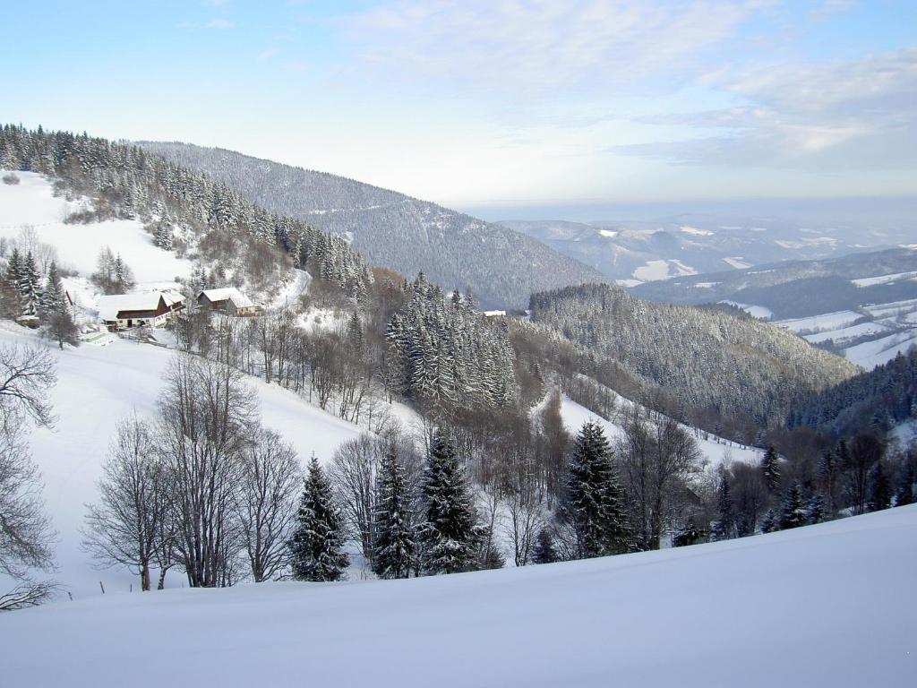 Almbauer Morgenbesser Trattenbach  エクステリア 写真